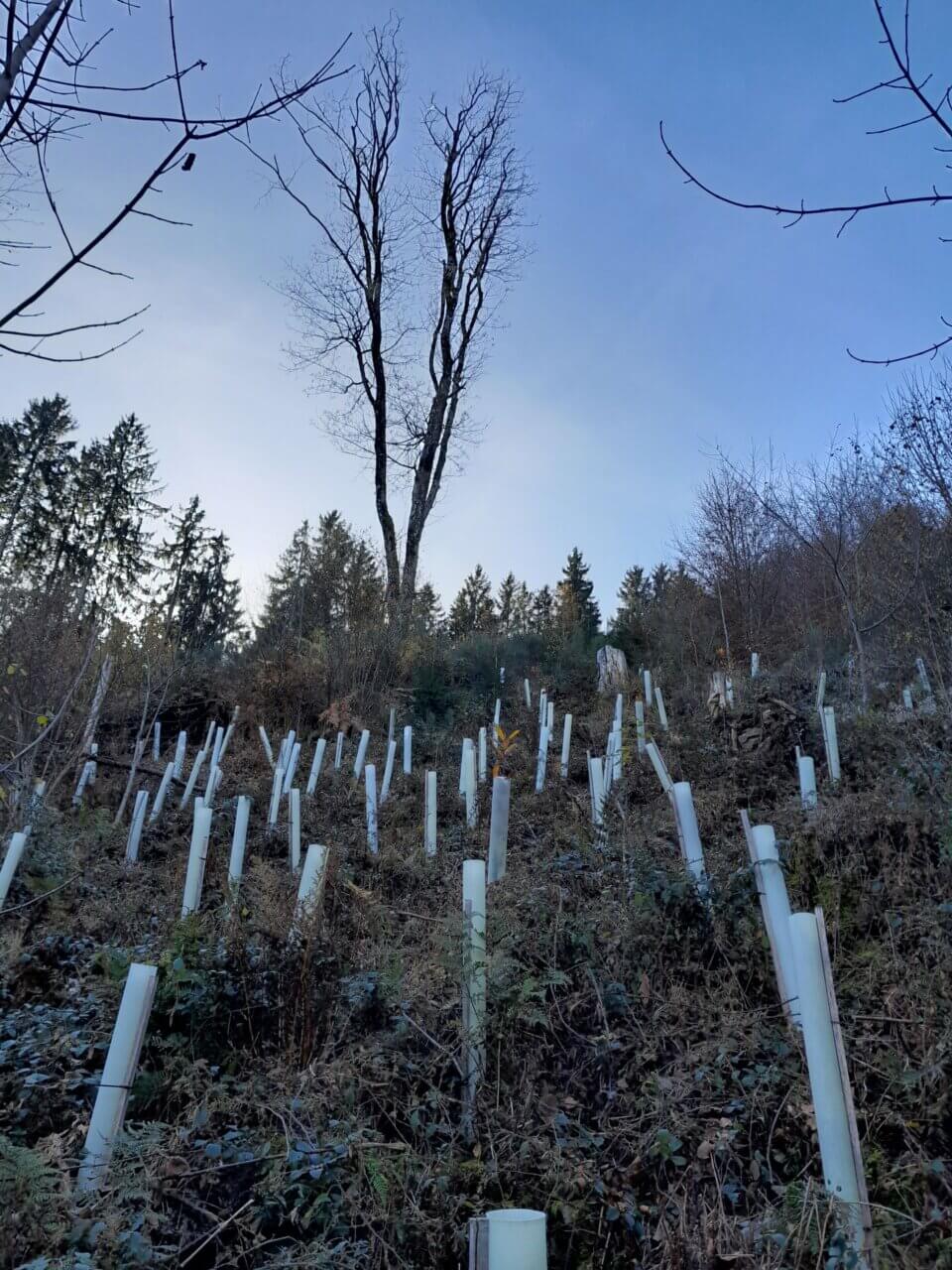 Sieht auch nach zwei Jahren noch ganz ordentlich aus