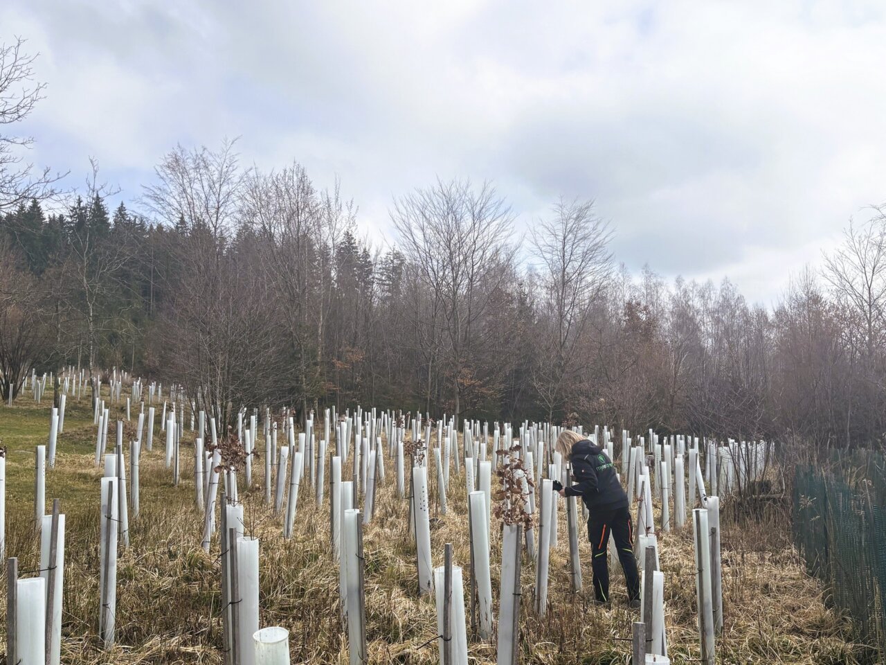 Ihrem Blick entgeht nichts