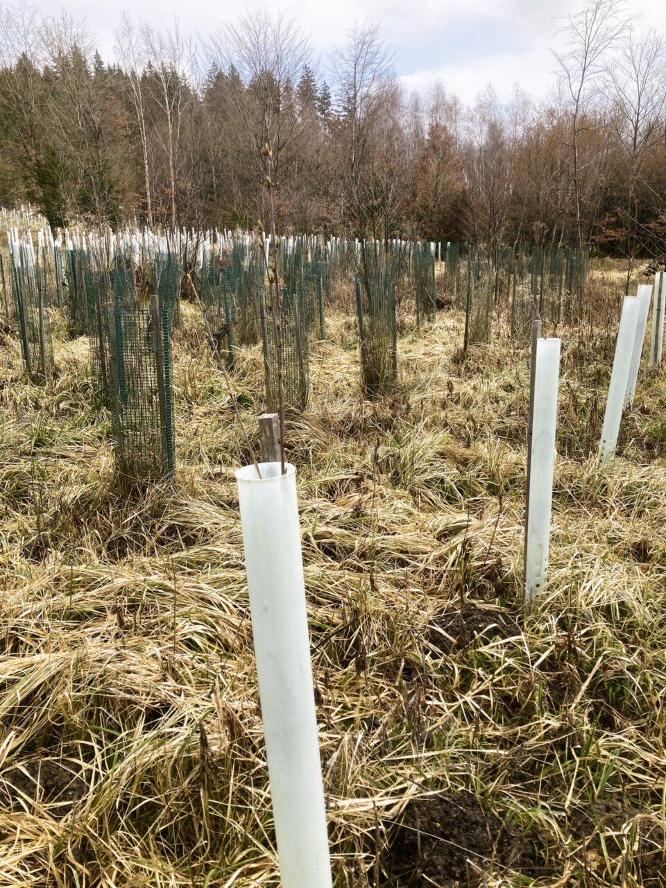 Haben alle den Winter gut überstanden