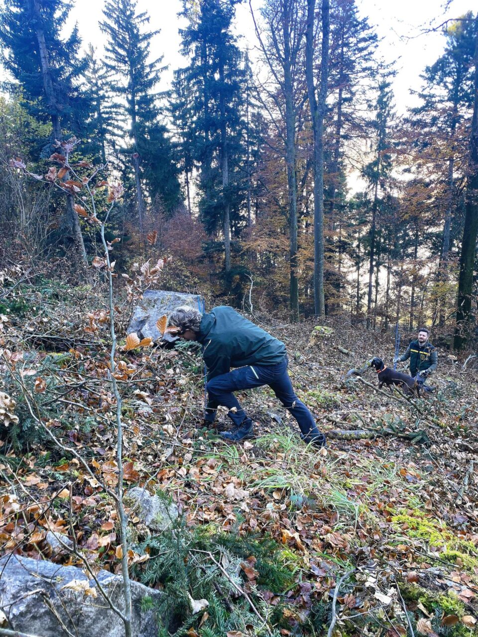 Schwere Arbeit im steilen Gelände