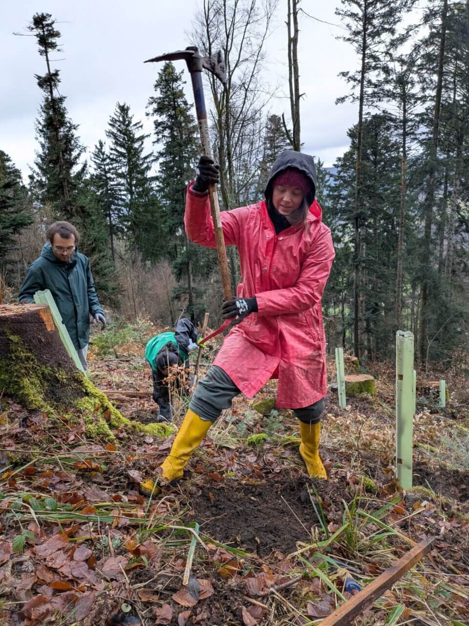 Mit dem richtigen Schwung geht es am besten
