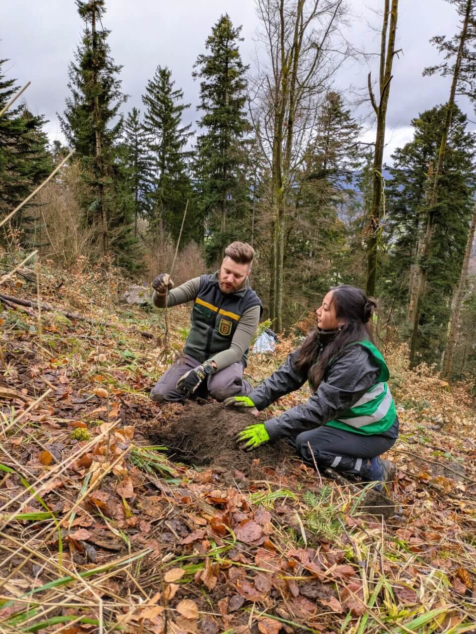 Förster Sebastian Fleischmann und Li erklären, wie das Pflanzen geht...