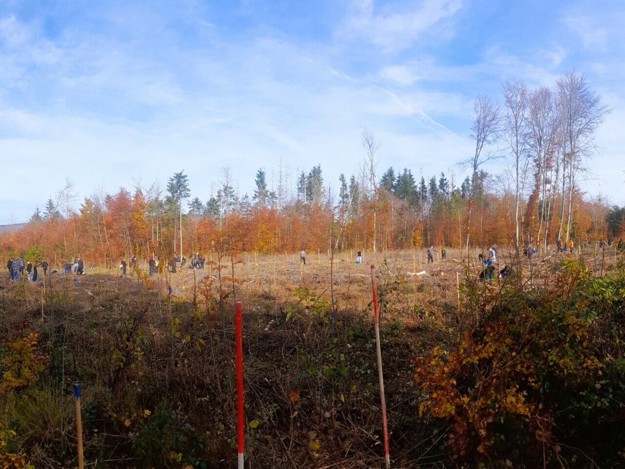 Alle sind gut beschäftigt