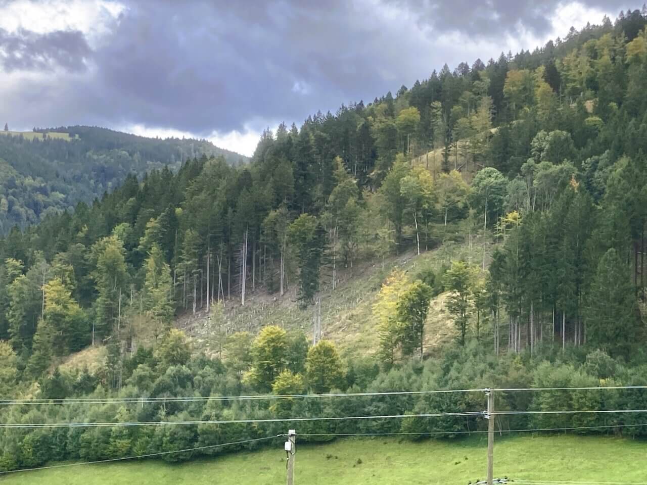 Die Fläche aus der Distanz
