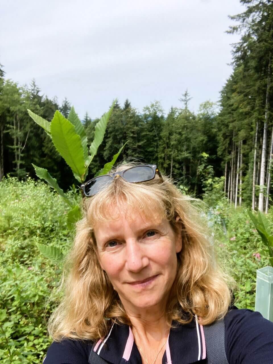 Mit 190 cm überragt die Kastanie Andrea