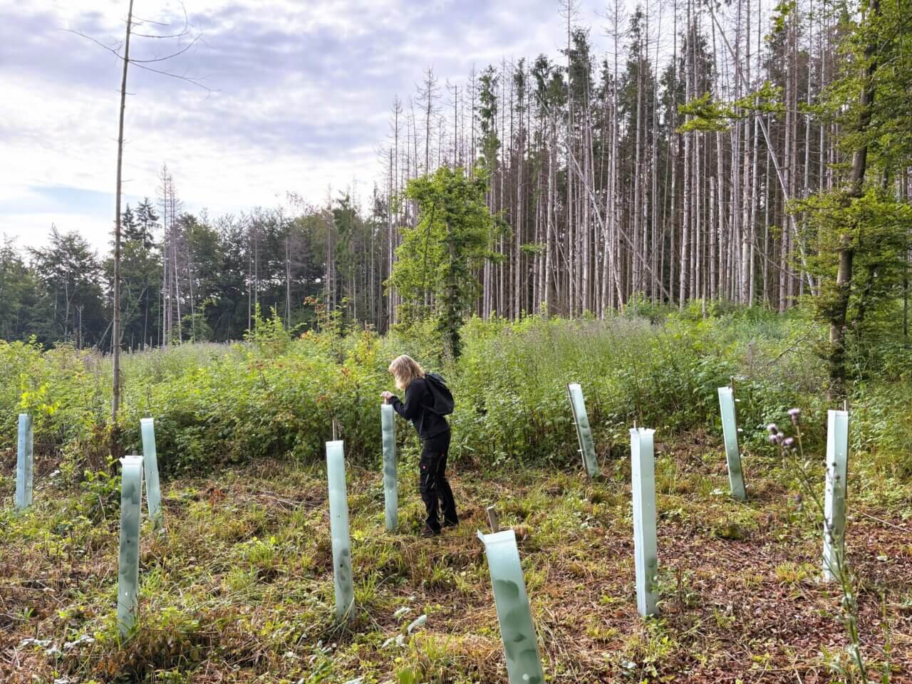 Andrea schaut in die Röhre