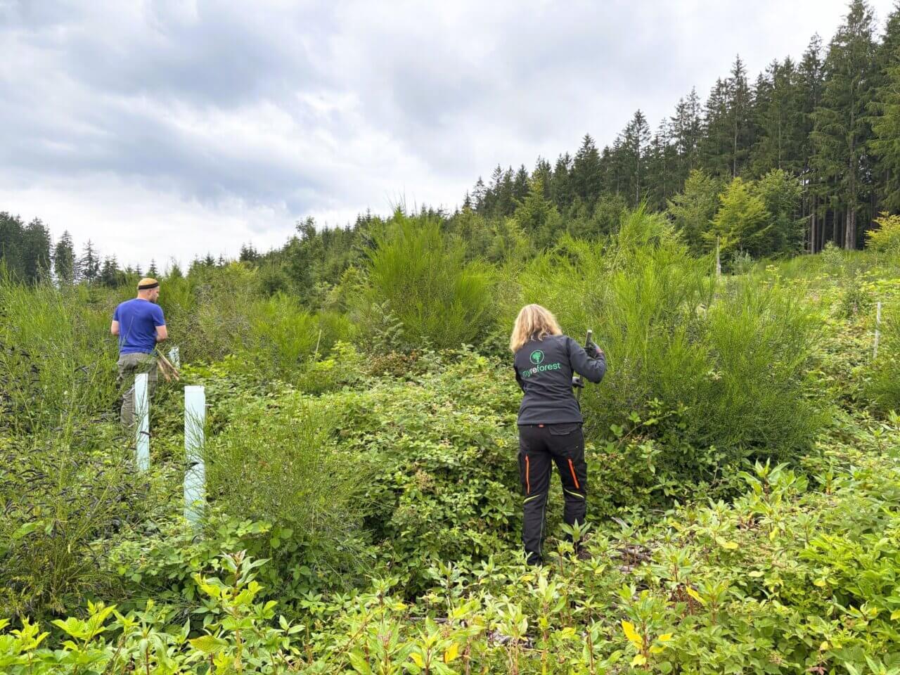 Andrea und Forst BW Trainee David Vogt kämpfen sich durch die üppige Vegetation