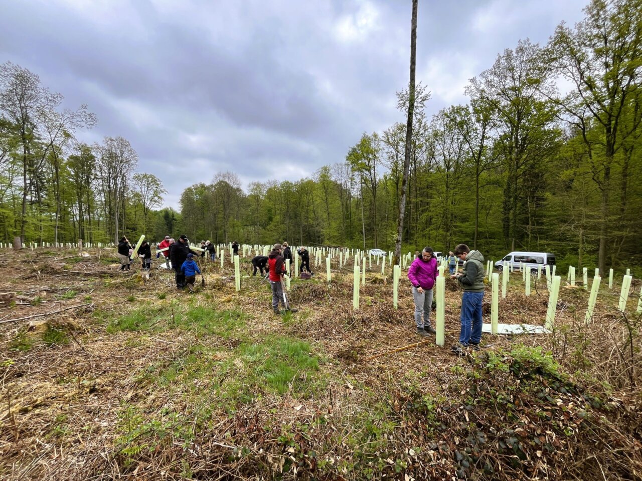 schon viel geschafft