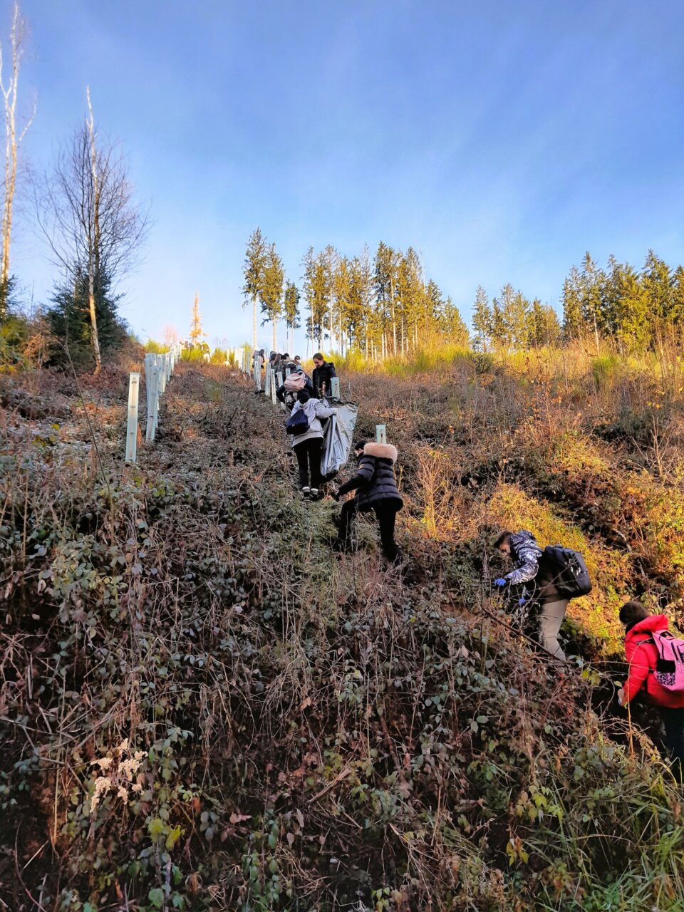 Erst einmal geht es steil bergauf