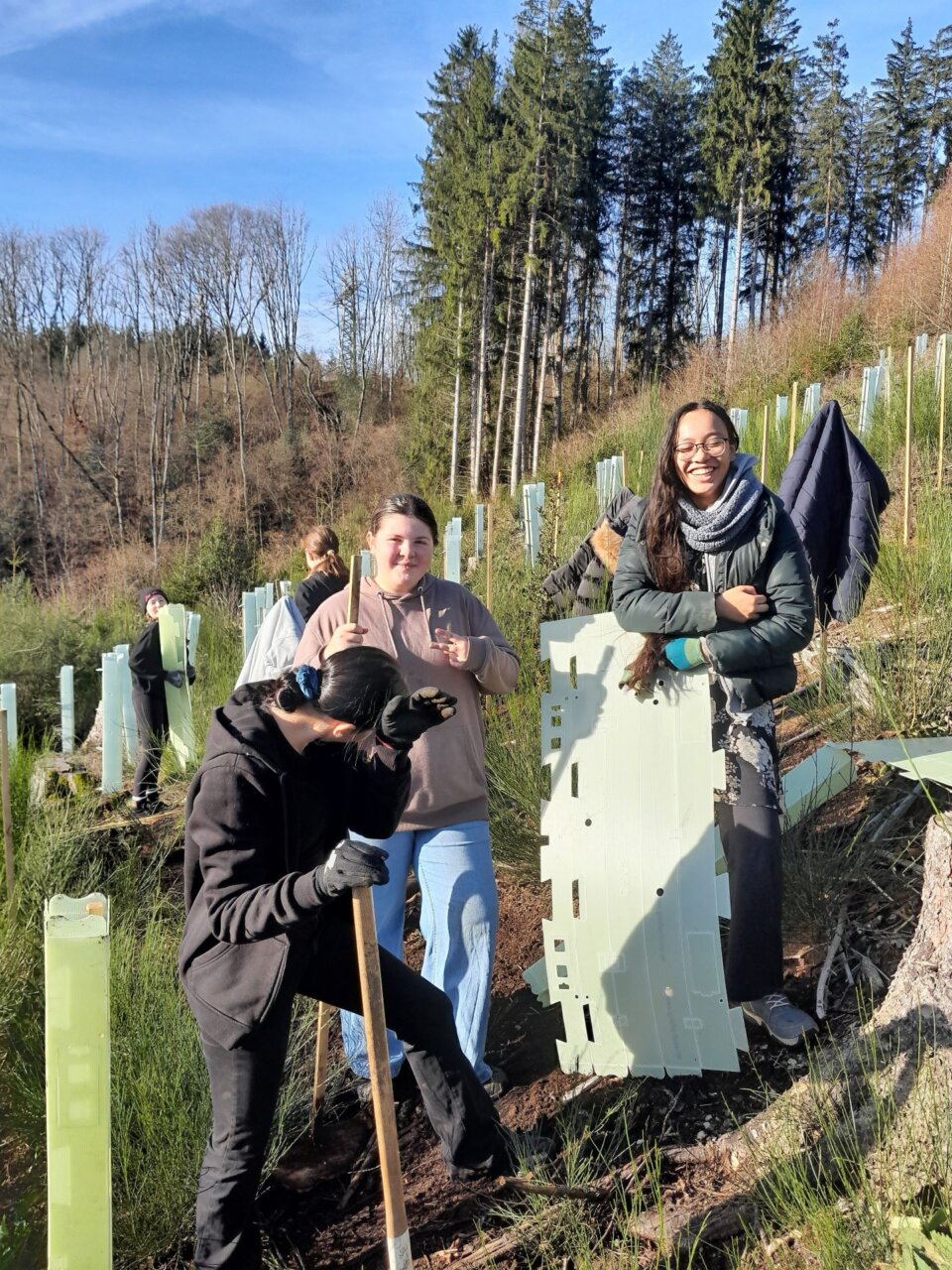 Mit der Sonne um die Wette strahlen