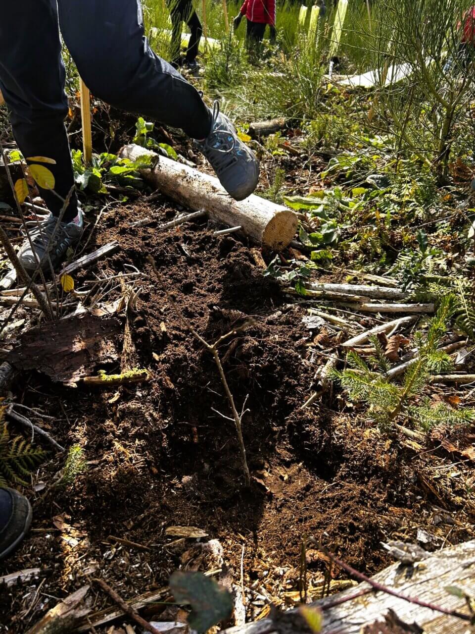 Fehlt nur noch der Schutz