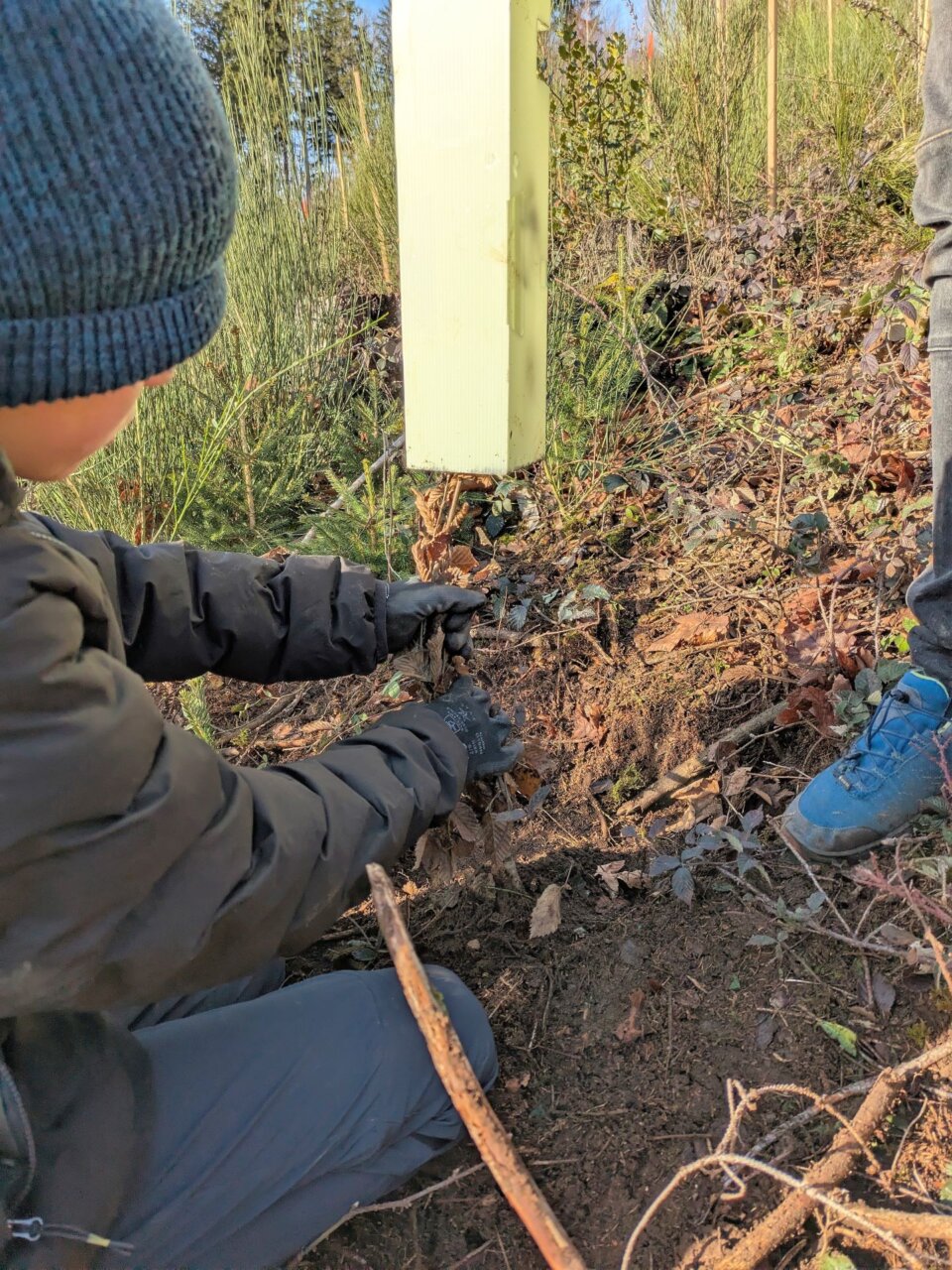 Das Gelernte wird perfekt umgesetzt