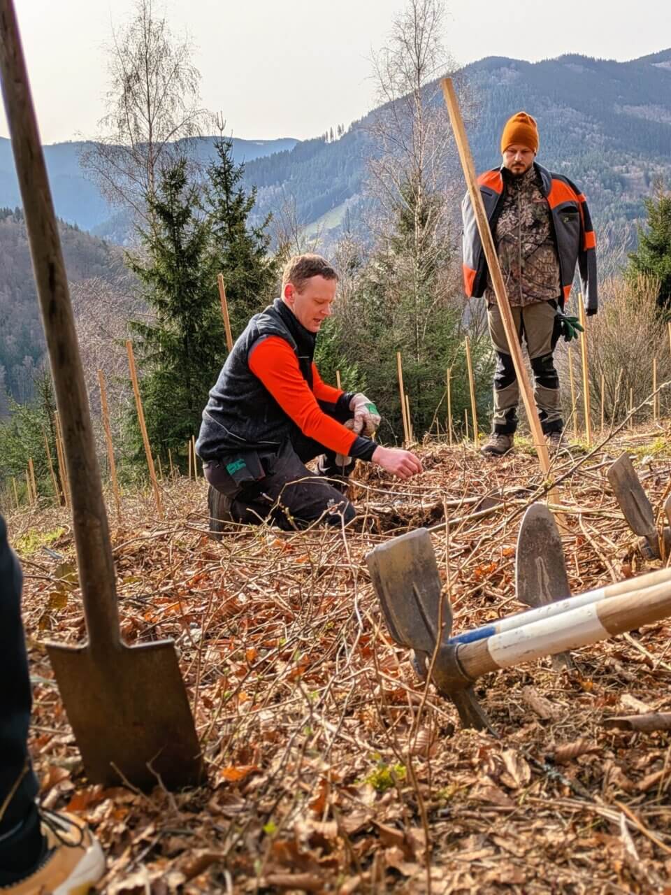 Zupfprobe zum Schluß