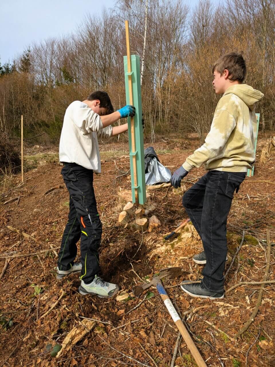 Verbissschutz vorsichtig anbringen