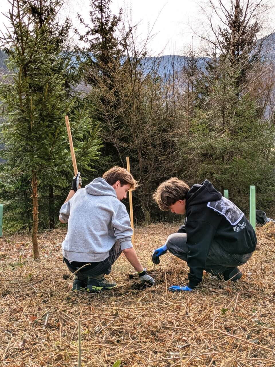 Gemeinsam wird gepflanzt