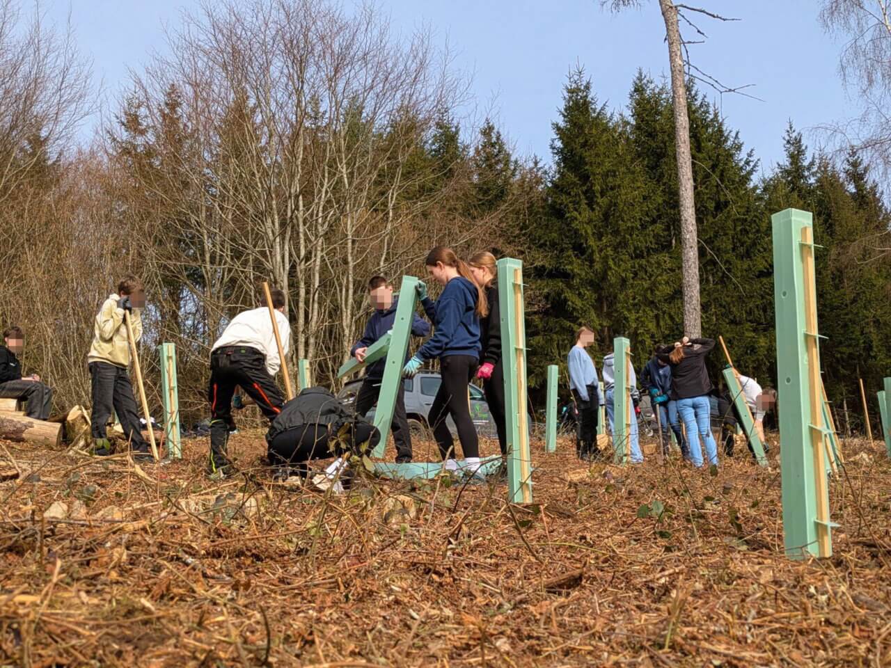 hier geht es in den Schlußspurt