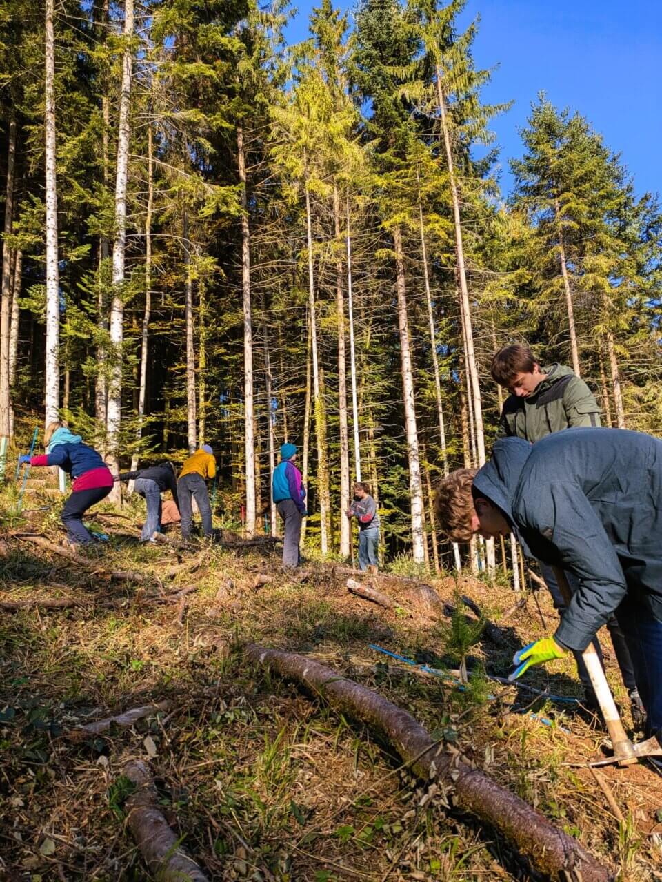 Dann geht es Schlag auf Schlag