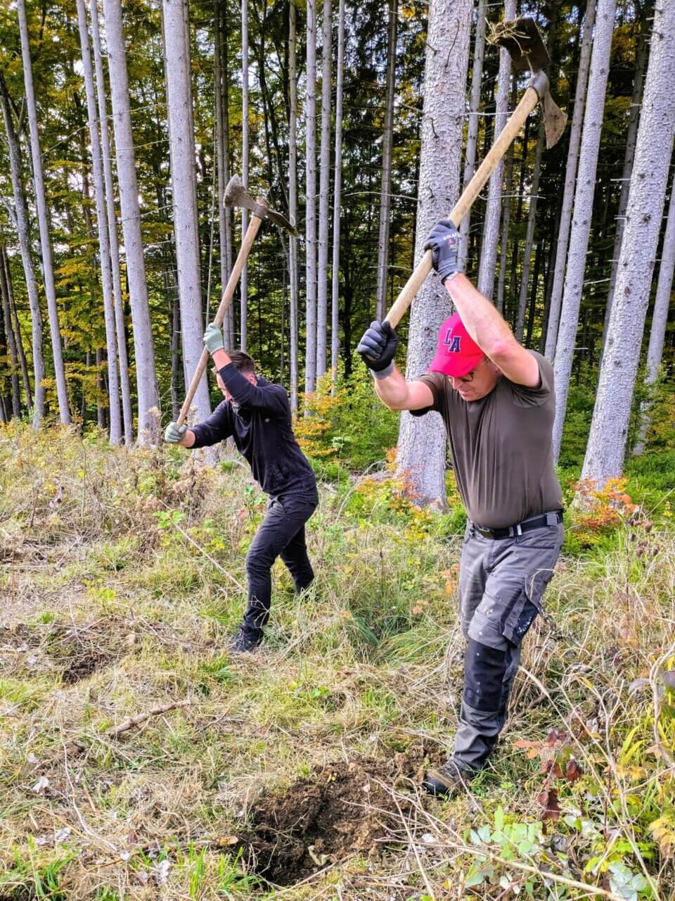 Wiedehopfhauen im Einsatz