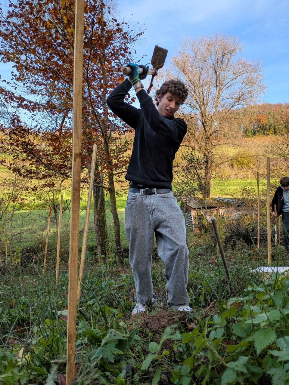 Mit Schwung funktioniert es am besten