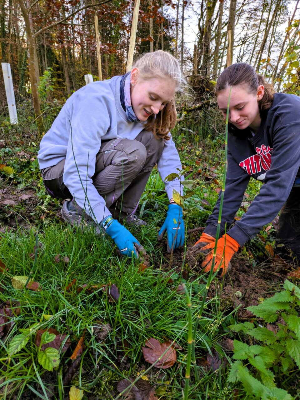 Mit gutem Boden geht es gut von der Hand