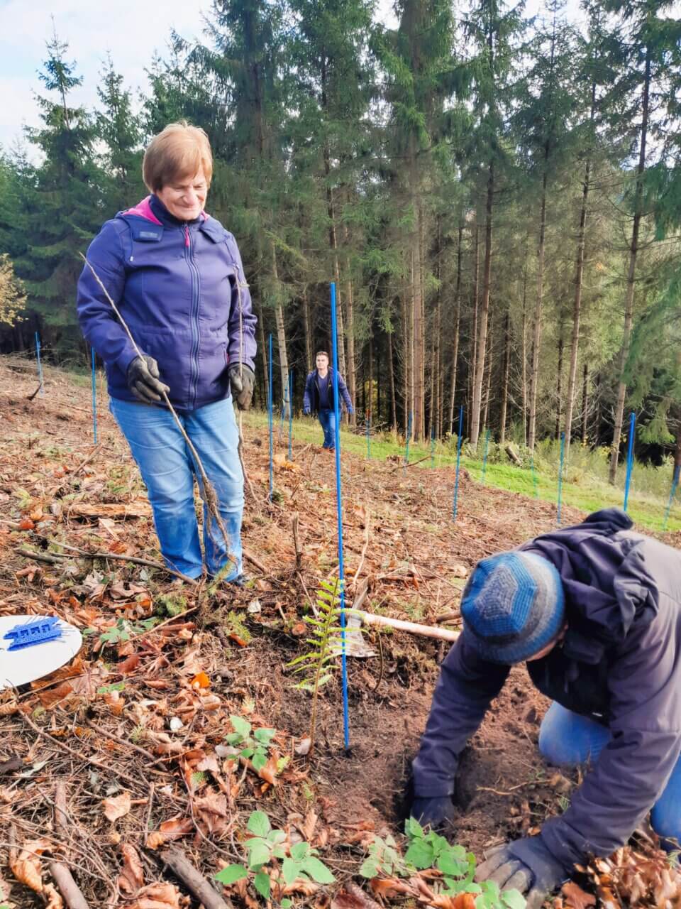 Passt das Loch für die Wurzel?