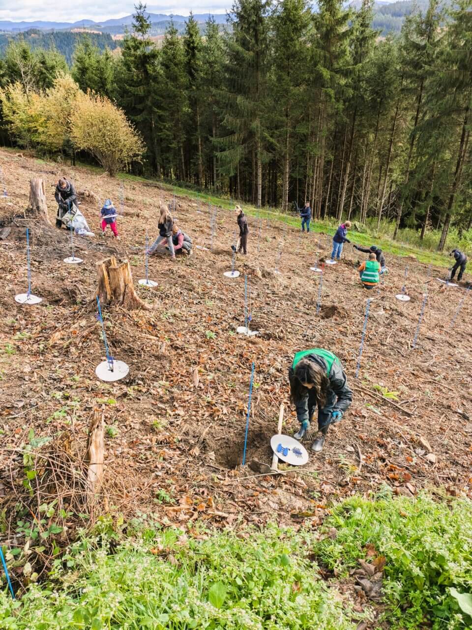 Bei diesen Bedingungen macht es Spass