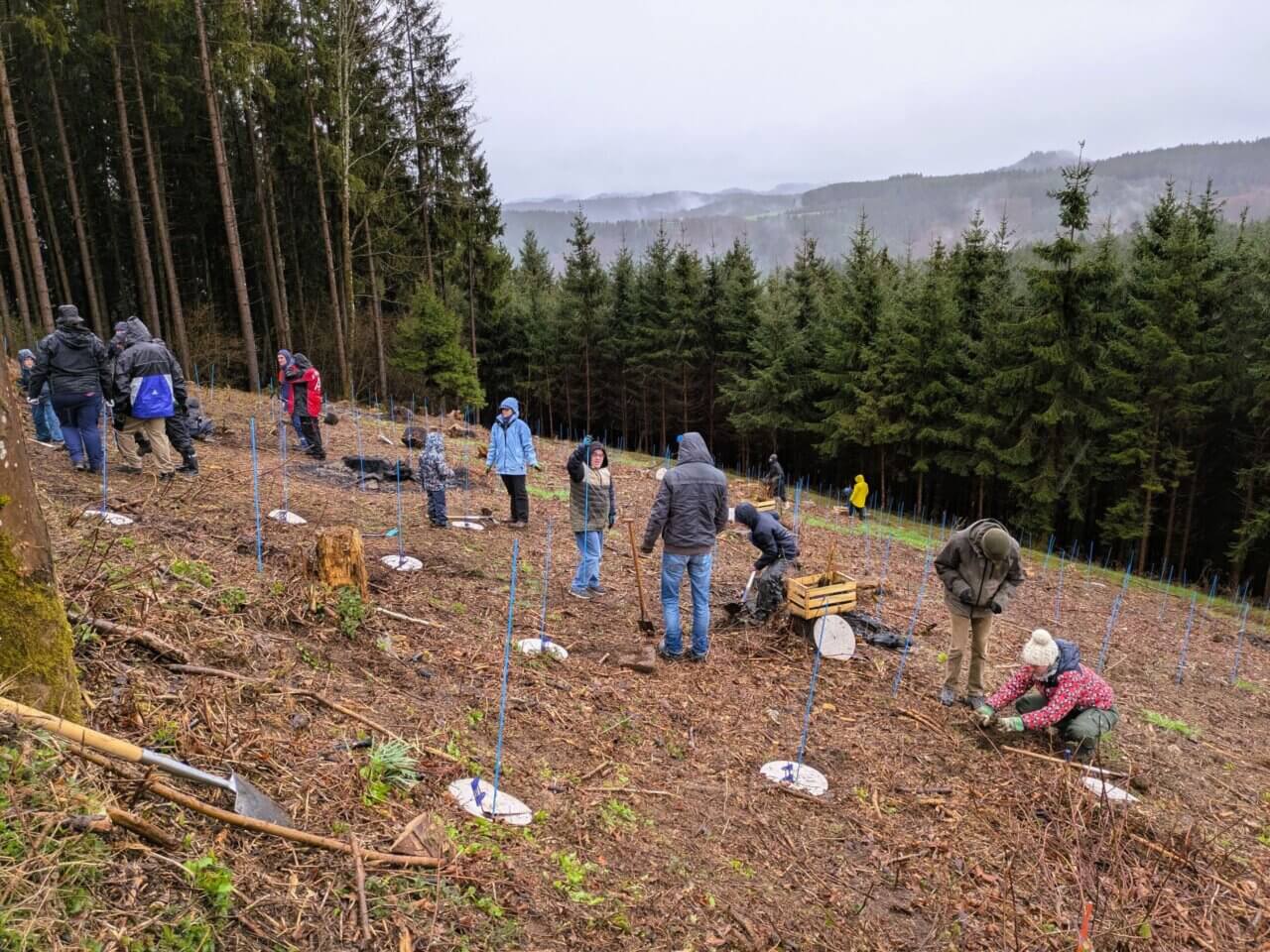 Konzentriert gehen alle ans Werk