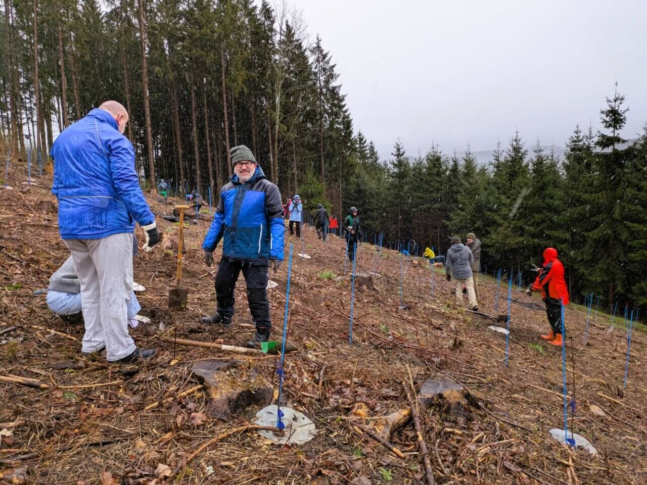 Zum Regen mischt sich Schnee