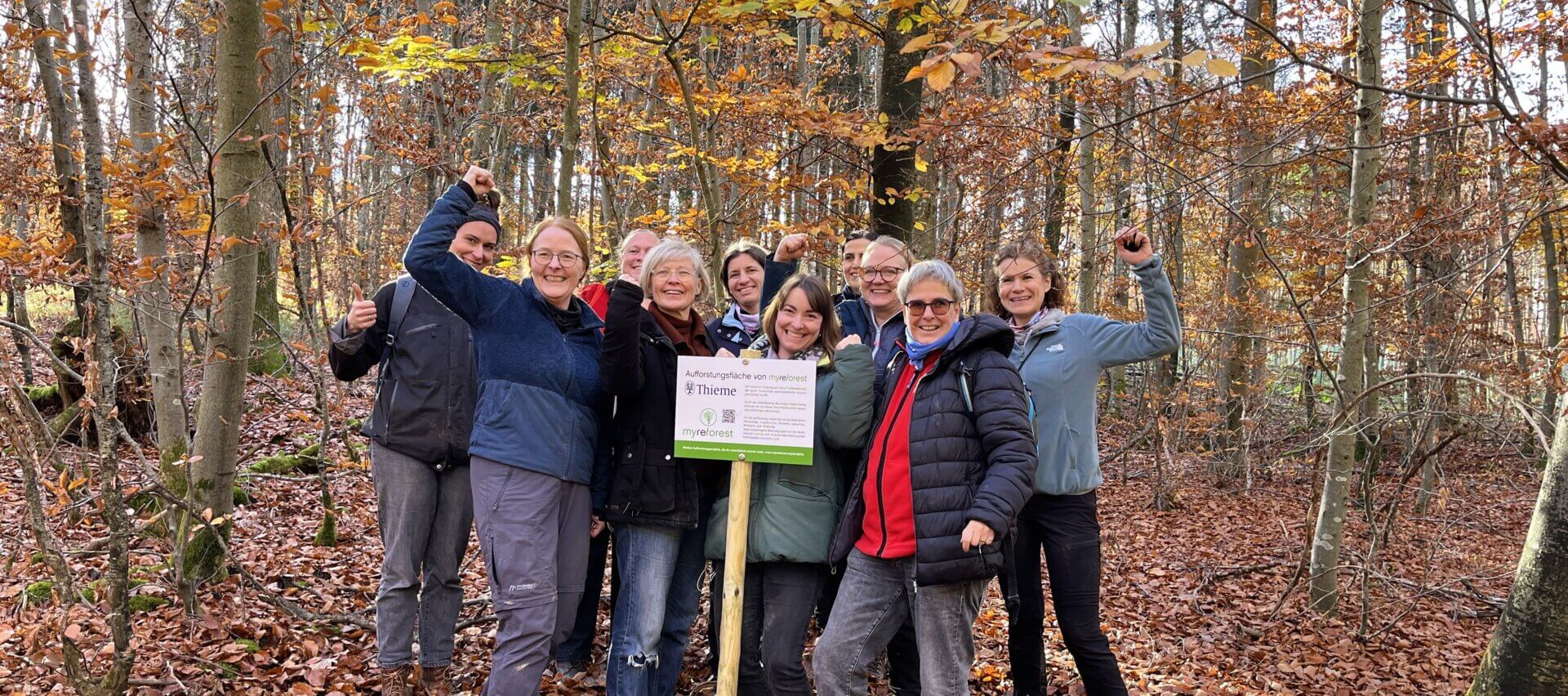 Wiernsheim II- Thieme Wald