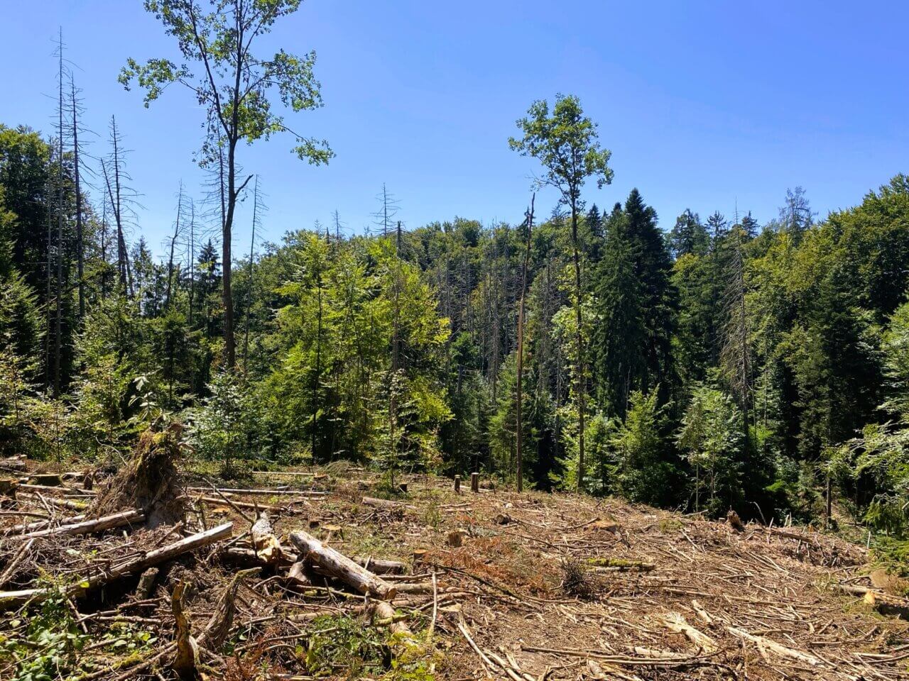 Steinen im Vorderen Wiesental