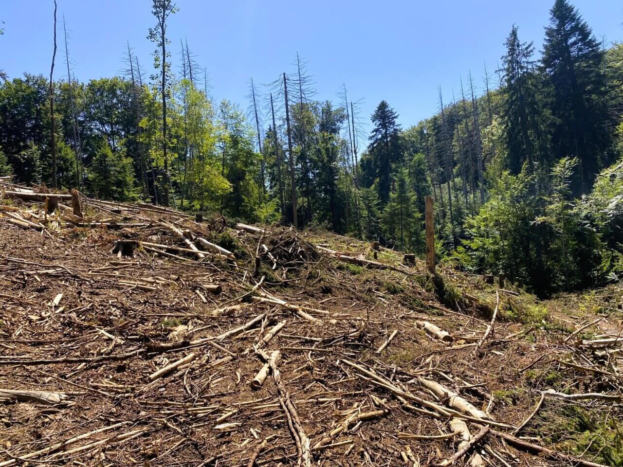 Steinen im Vorderen Wiesental