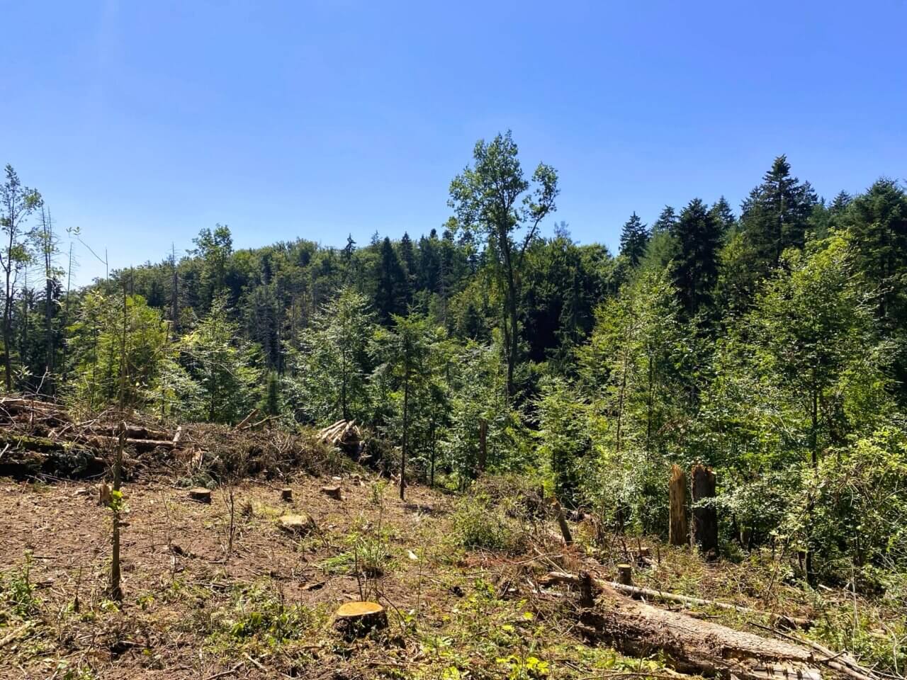 Steinen im Vorderen Wiesental