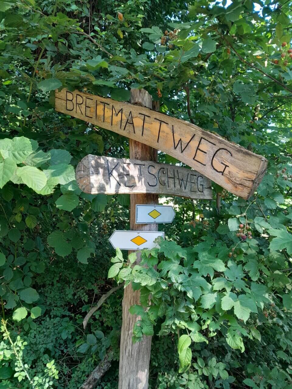 Fläche bei Gottenheim
