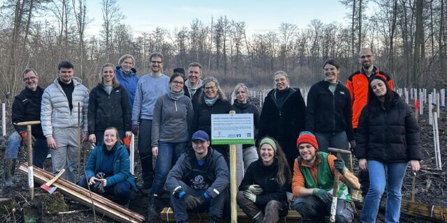 Schallstadt Mosswald