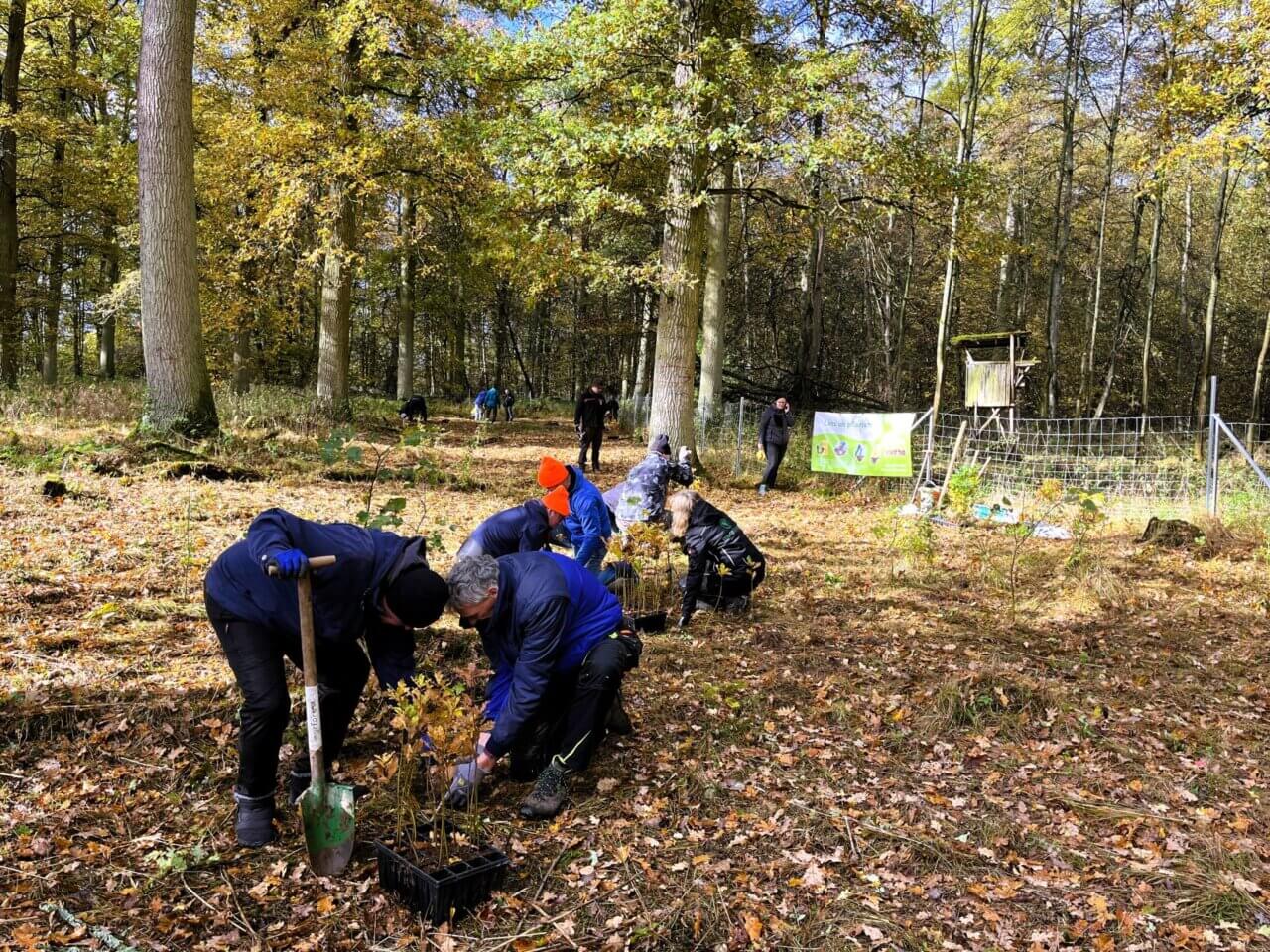 Hohlspaten eignen sich hier besonders gut