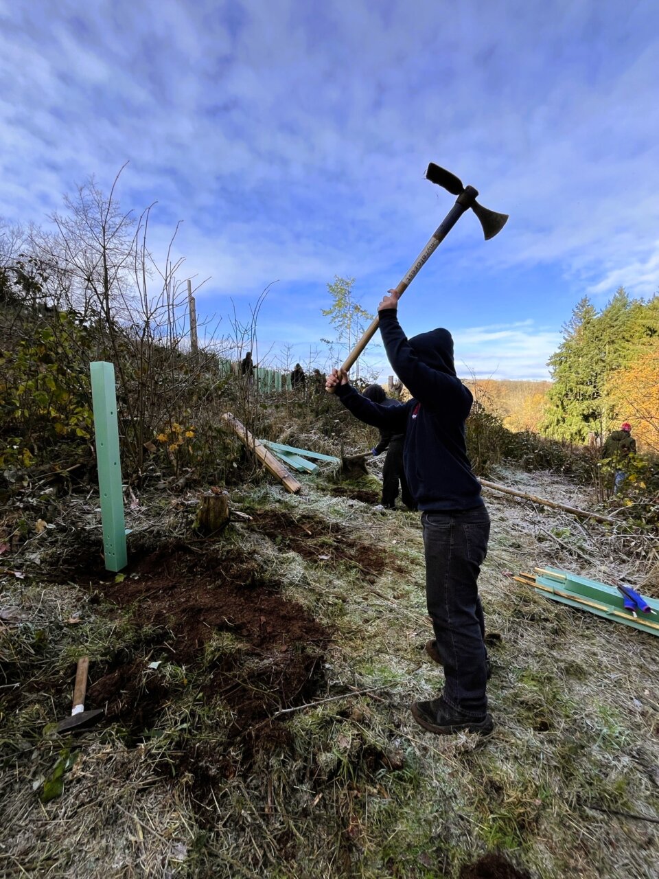 mit der Wiedehopfhaue