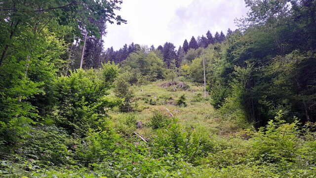 Münstertal