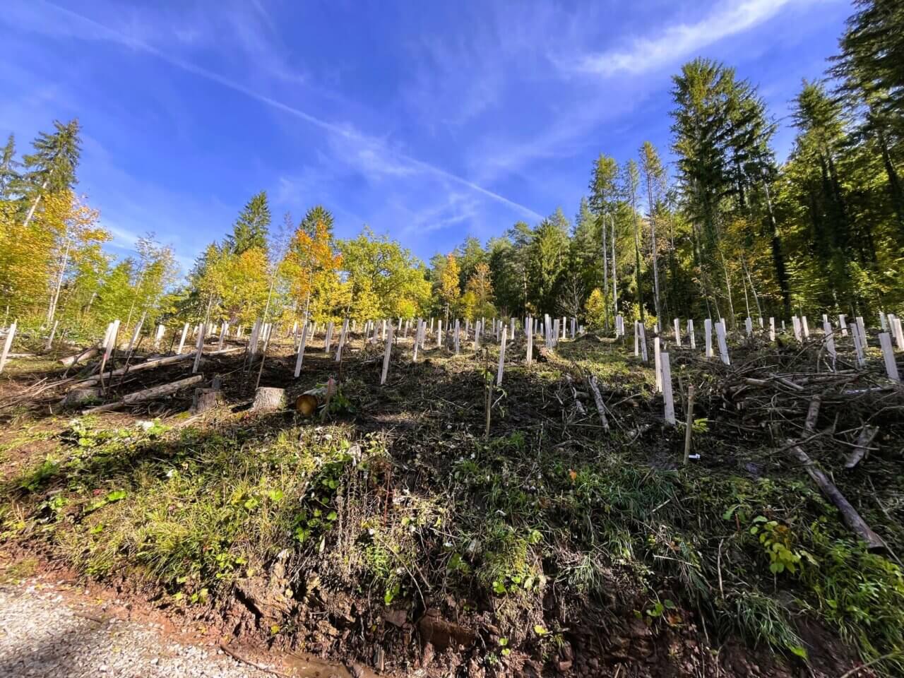 Blick auf die geleistete Arbeit