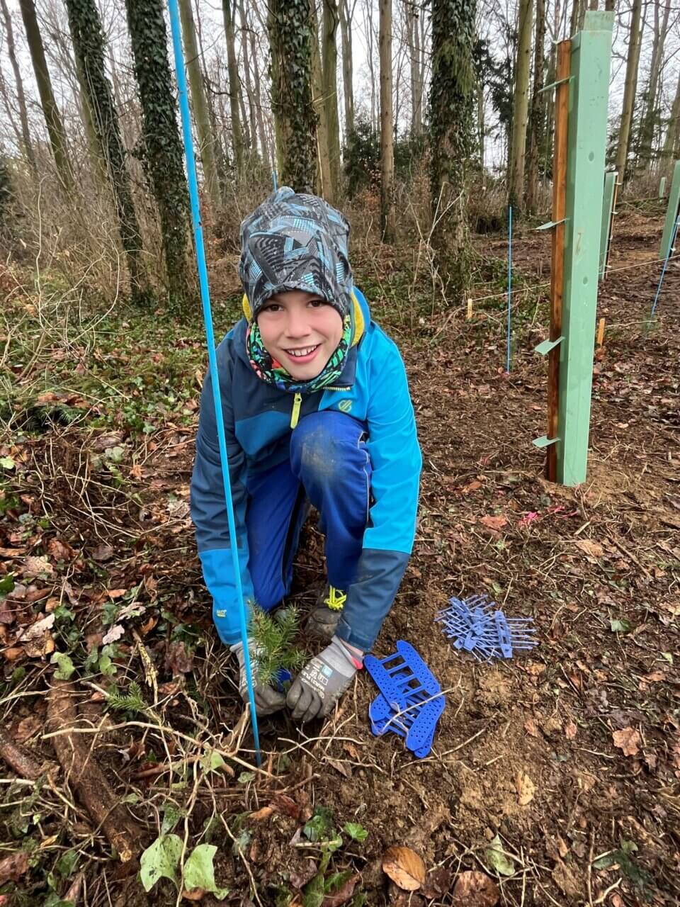 Blaue Schutzklammern gegen Verbiss