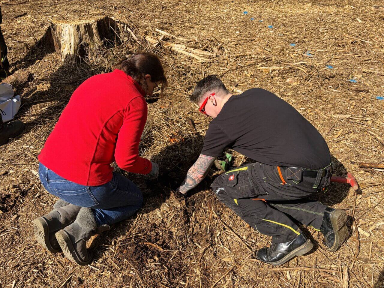Danach geht es direkt los