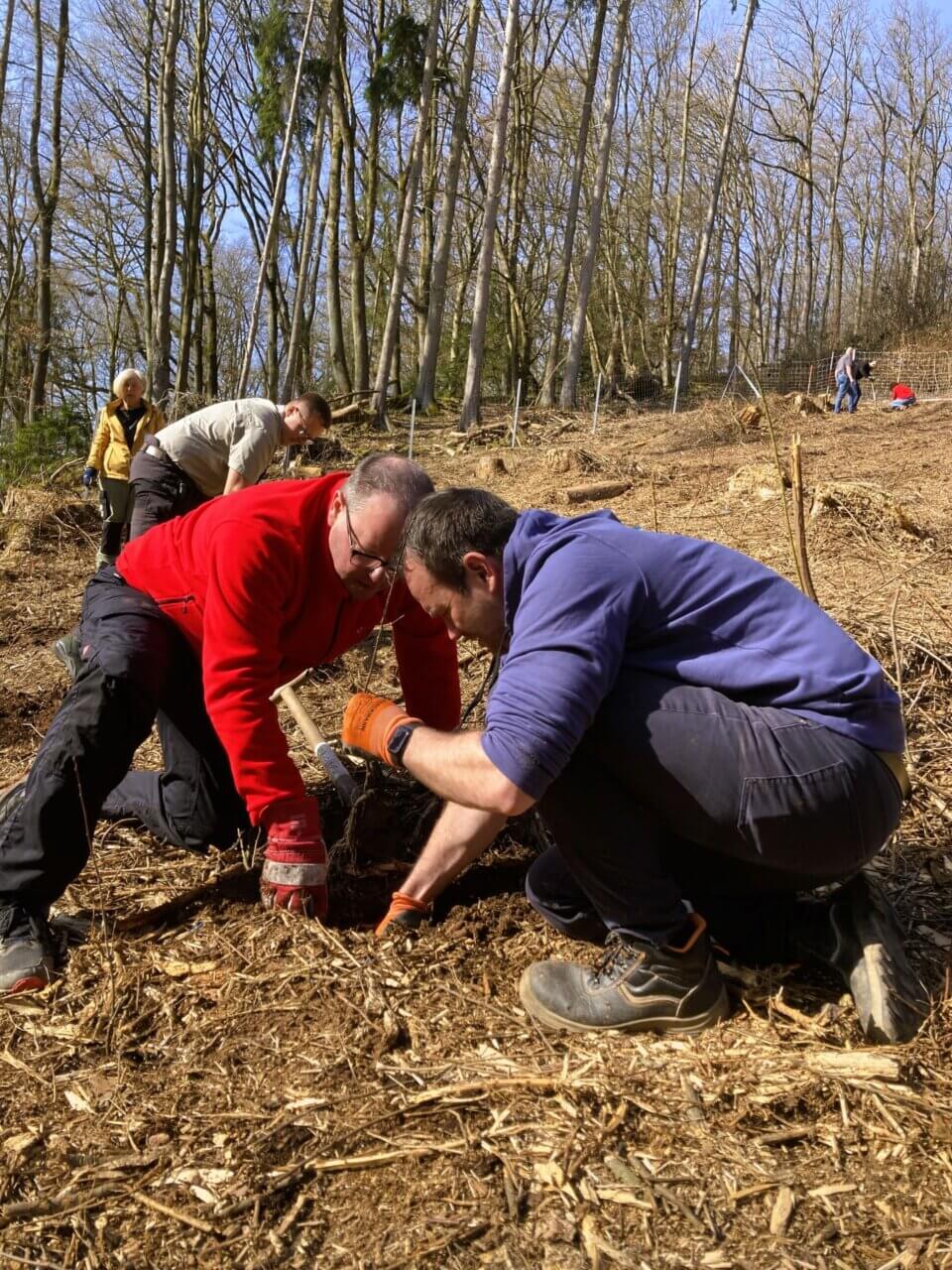 Teamwork mit dem Chef
