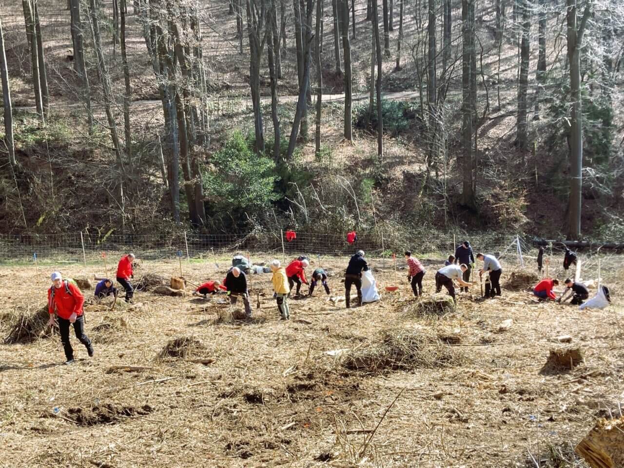 Alle haben ihren Platz gefunden