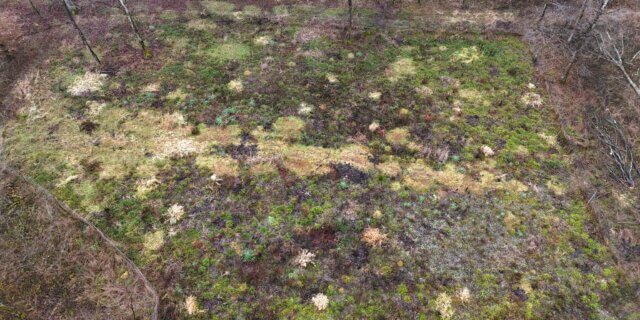 Karlsruhe - Rheinauen