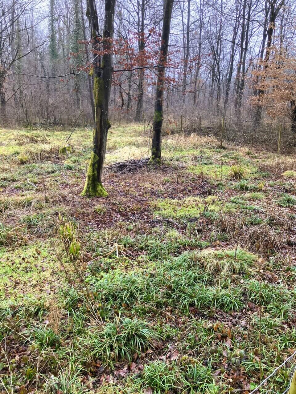 Karlsruhe - Rheinauen