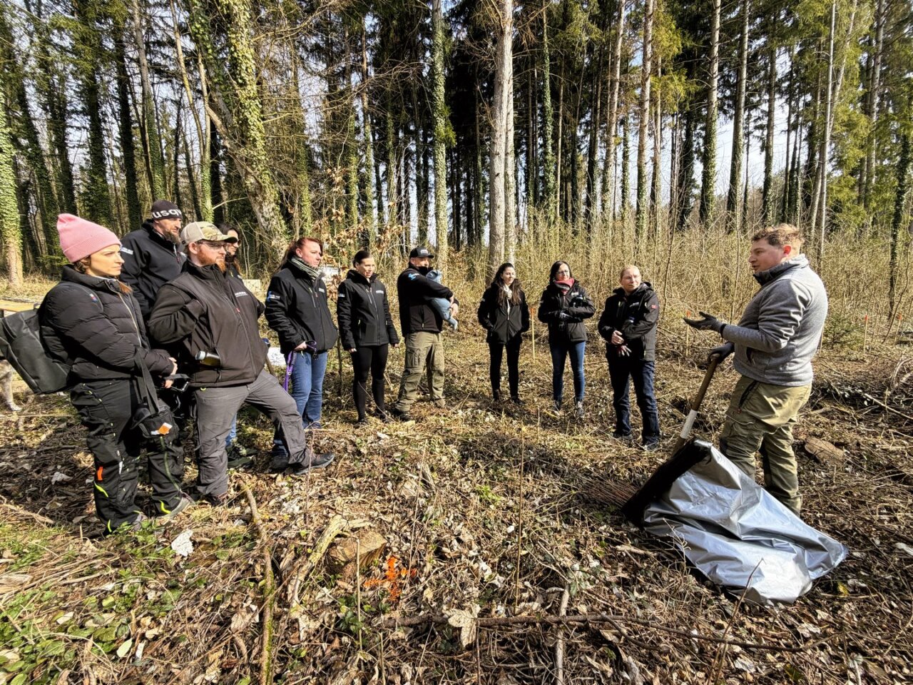 Förster Christoph Pascher erklärt, wie gepflanzt wird